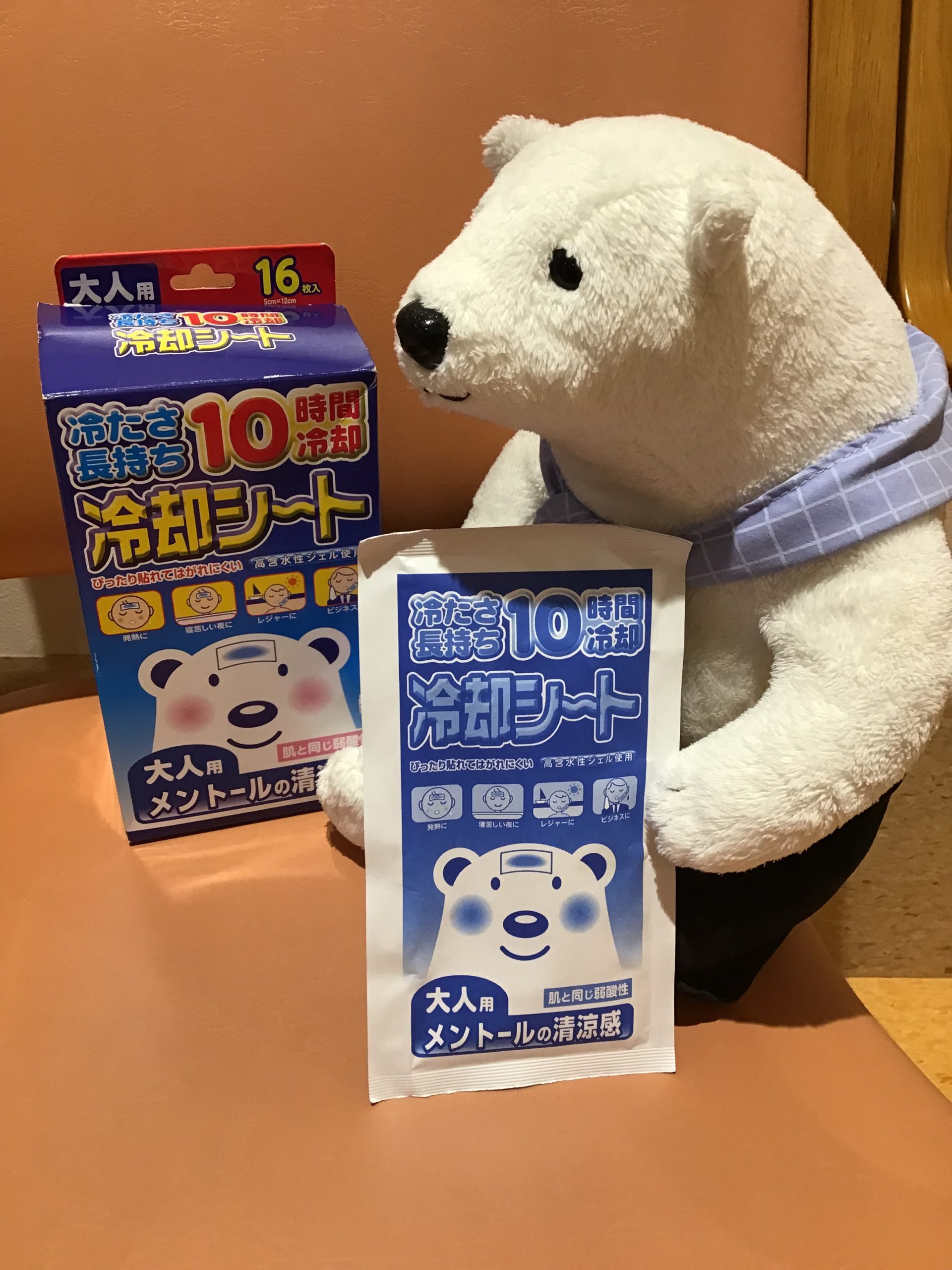 職員による 「しろくま」見つけた！シリーズ㉖ | 社会福祉法人白熊会